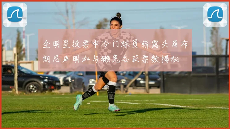 全明星投票中冷门球员崭露头角布朗尼库明加与獭兔各获票数揭秘